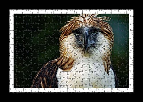 Collins Puzzle (YYP16433) Puzzle Style (Pre-assembled) Wall Print