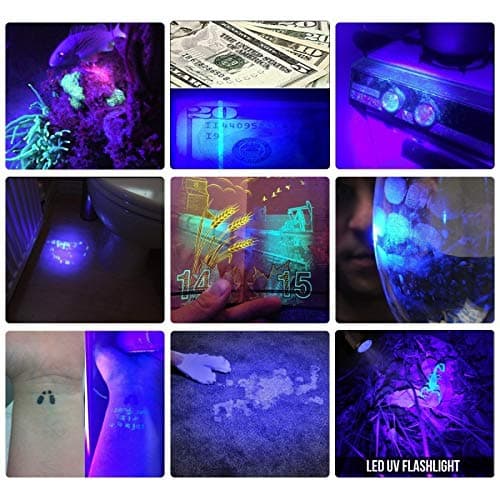 365 Nm Black Light Flashlight,UV Light Flashlight with battery,1 Light Mode Adjust Focus UV Light for for Minerals A/C Leak Detection (uv flashlight)