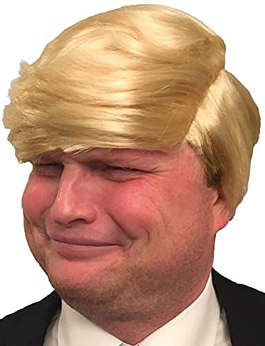 2 pc. Hilarious Donald Trump Wig