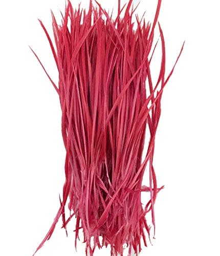 5''-9.5'' Feathers Fly Tying Materials for stonefly Nymph Split Tails& Down Wings 50pcs/Pack (red)