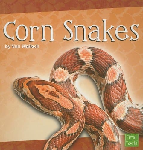 Corn Snakes Library Binding – January 1, 2009