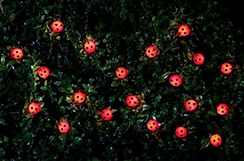 MDL-30 Insect LED Solar Power Fairy String Light Garden Party Decor Ladybird
