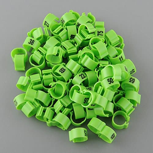100 Numbered Chicken Leg Bands (green) 440