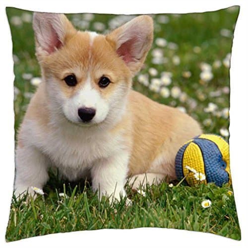 Perrito Puppy - Throw Pillow Cover Case (16