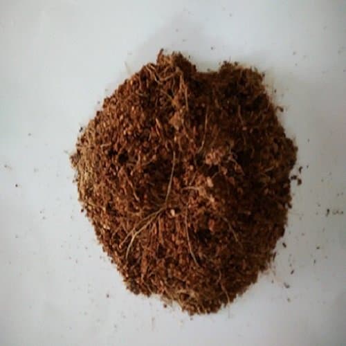 BIOZYMES Cocopeat (Sterilized and Decomposed)1000g