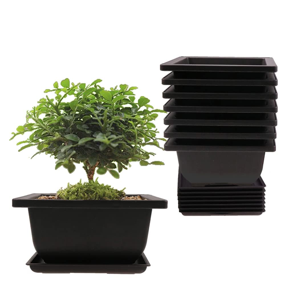 8PCS/Pack Retro Style Square Small Bonsai Training Pots with Tray, Mini Plastic Mocha Garden Flower Pot 4.7"