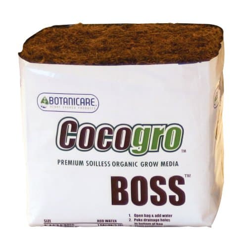 Boss 6In Cocogro Cube