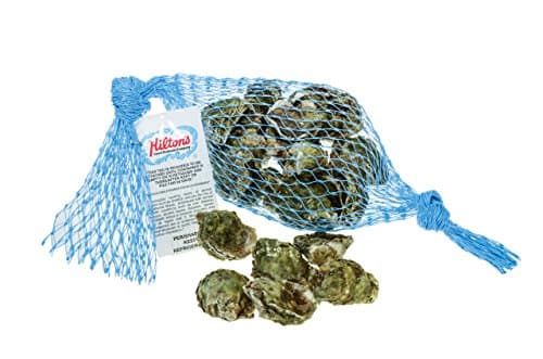 Oyster Kumamoto In Shell, Fresh, Total 4 Dz 48 Count…