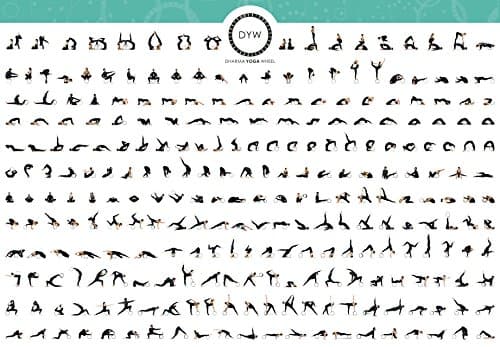 Dharma Yoga Wheel Pose Poster