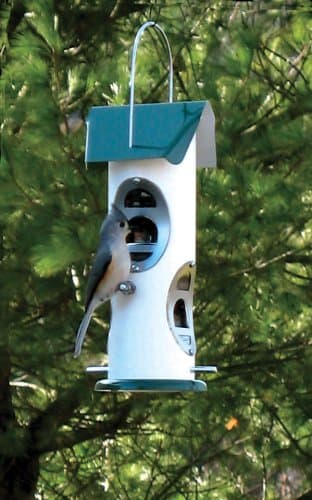 Varicraft Mixed Feeder in Green - 1 Quart