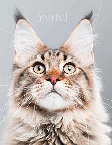 Journal: Maine Coon A4 Paperback – 16 Sept. 2017