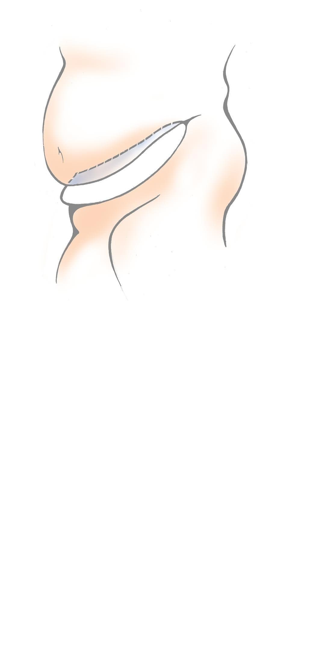 Trenton Gifts Belly Liner (Medium)