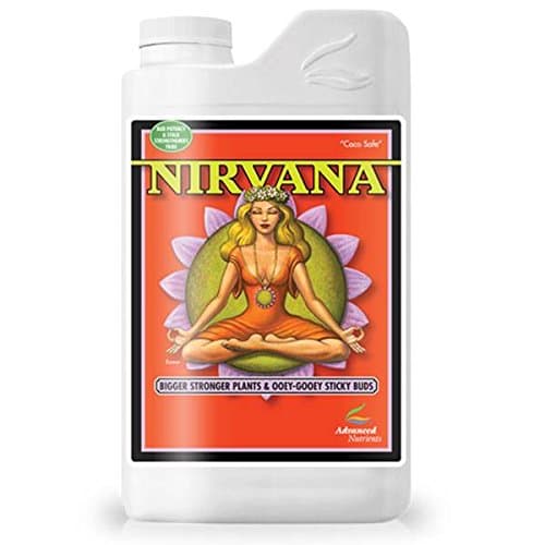 Nirvana 1L