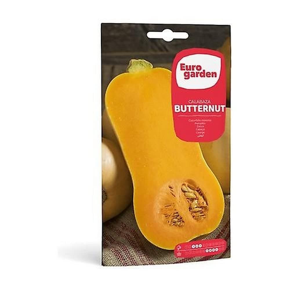 Euro Garden Pumpkin Butternut Seeds 10 g