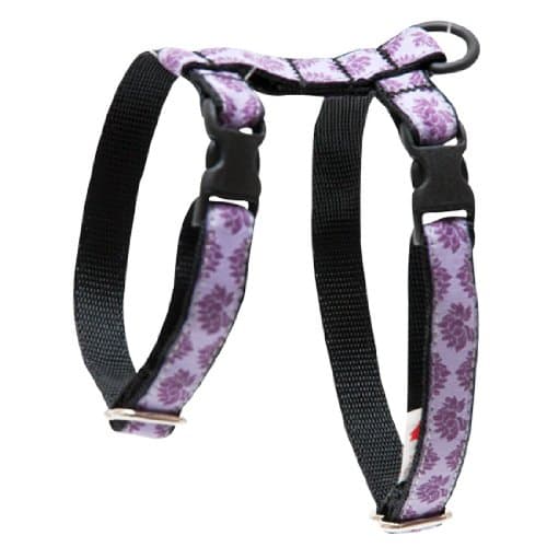 RC Pet Products 1/2-Inch Kitty Harness, Large, Nirvana