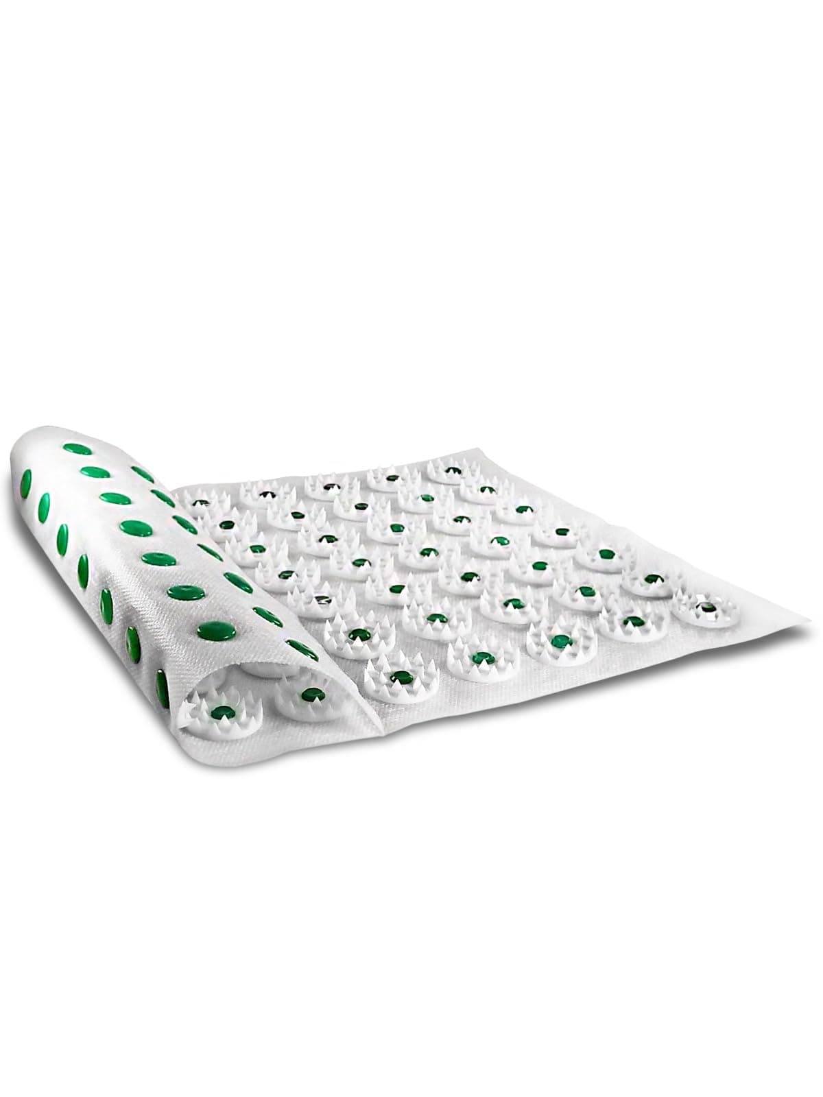 Kusnezov Applicator (Module 84) 230 x 380 mm