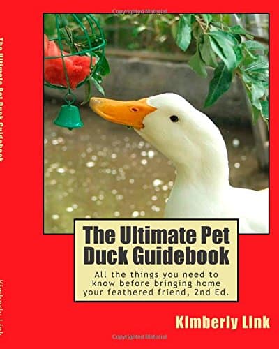 The Ultimate Pet Duck Guidebook: All the things you need to know before bringing home your feathered friend.