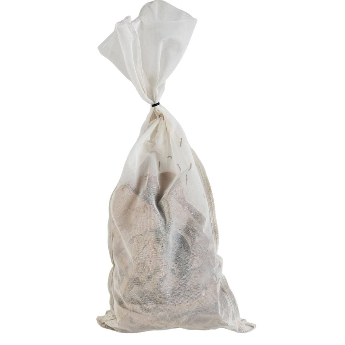 Josh's FrogsMealworms (10,000 Count)