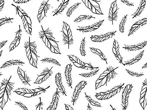 Printed Tissue Paper for Gift Wrapping with Design (Black Feather Illustrations on White) - Decorative Gift Tissue Paper, 24 Large Sheets (20x30)