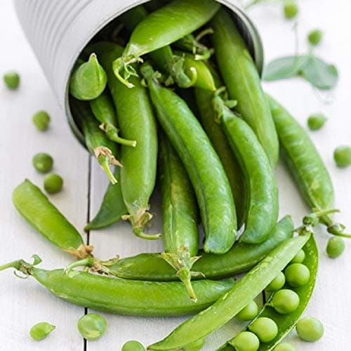 Splendour Seeds Green Peas vegetable seeds