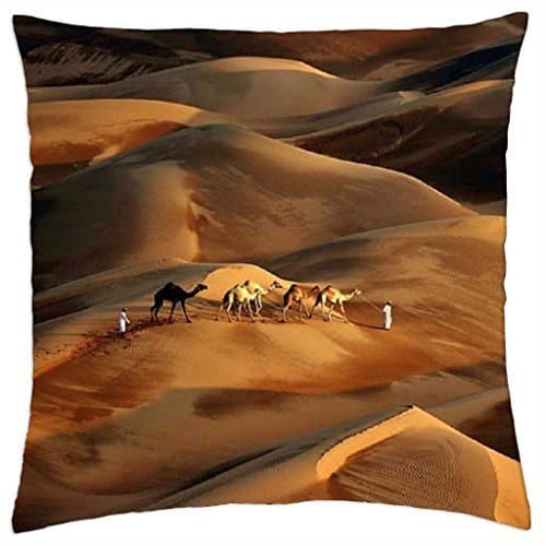 Liwa Desert - Throw Pillow Cover Case (18