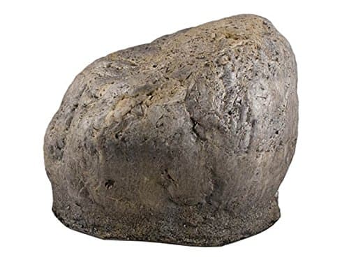 RockCam Outdoor Hidden Cam