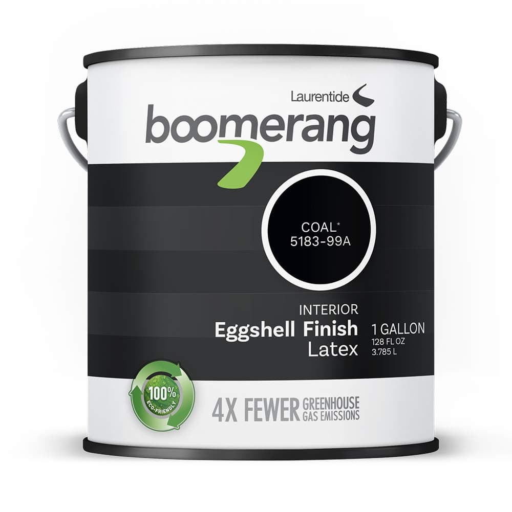 Boomerang Eco-Friendly Interior Paint, Eggshell Finish (Coal)