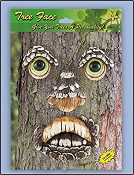 Tree Man Tree Face
