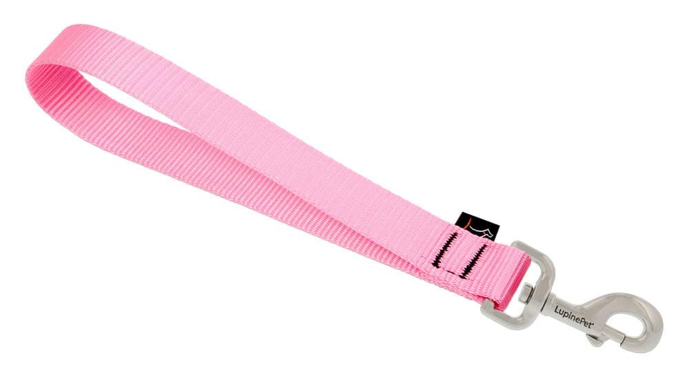 Training Tab by Lupine in 1" Wide Pink for Medium and Larger Dogs