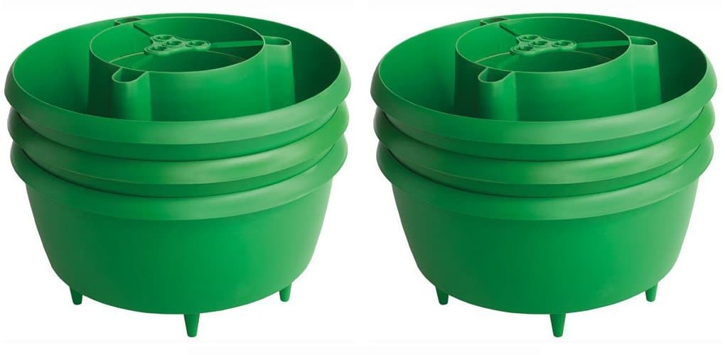 Plant Halos - Pack 6, Green