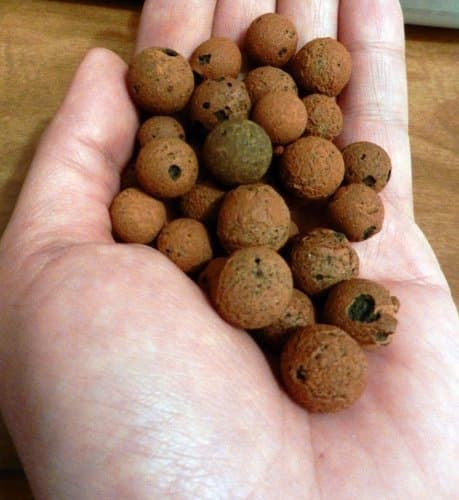 3 Lb Hydrokorrels Hydroponic Expanded Clay Grow Rocks