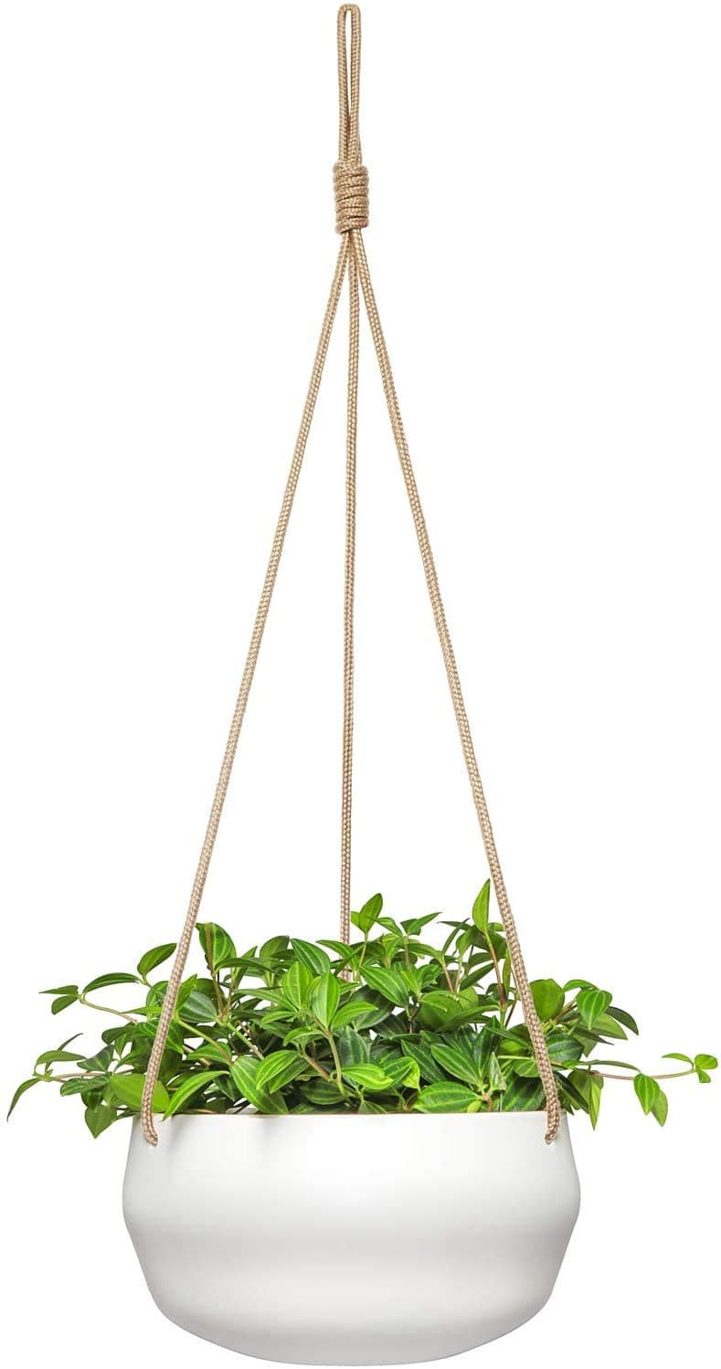 Mkouo Ceramic Hanging Plant Pot