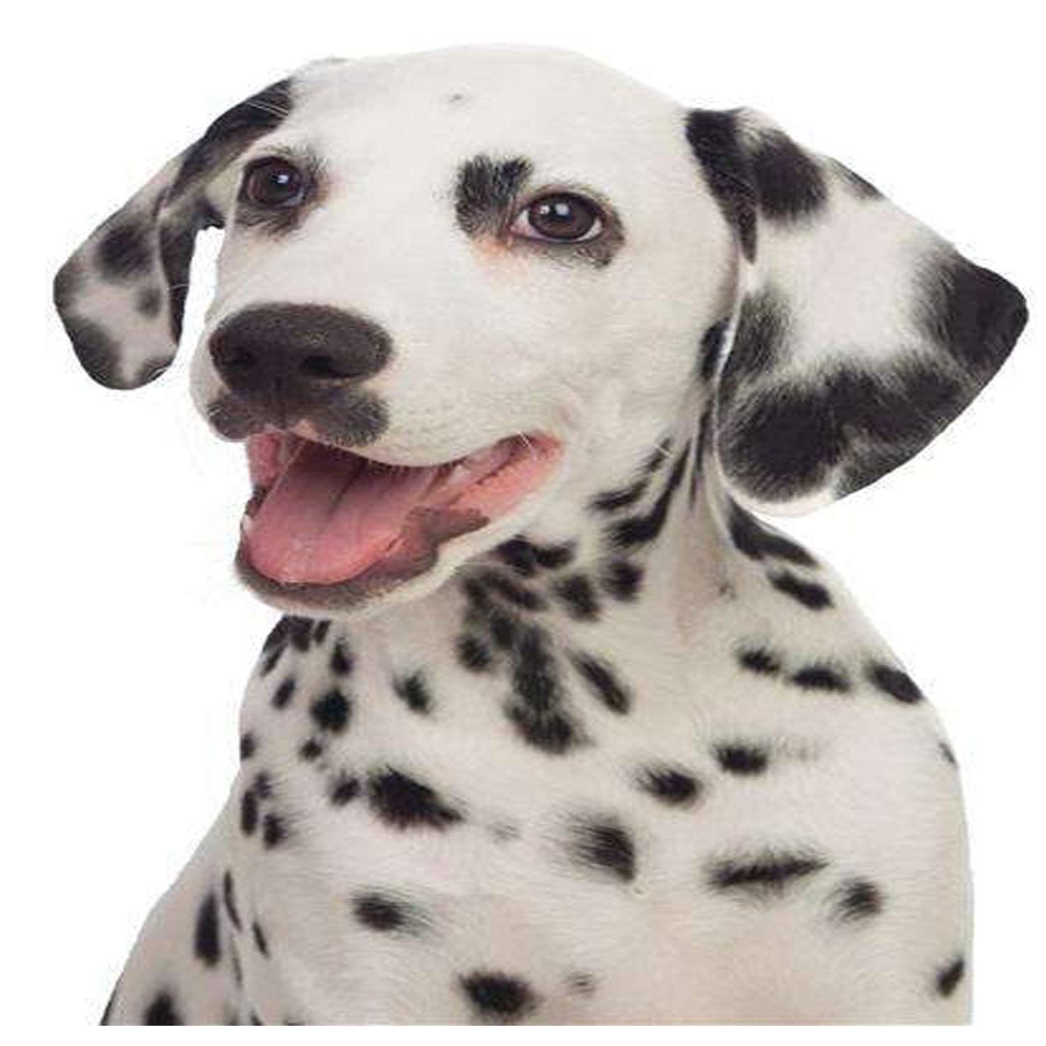 Lightning to HDMI VGA Adapter, lightning digital av adapter 4 in 1 HDMI/VGA/Audio/Video lightning Adapter Converter Plug & Play on HD TV Projector 1080P for iPhone, iPad, iPod，iPhones