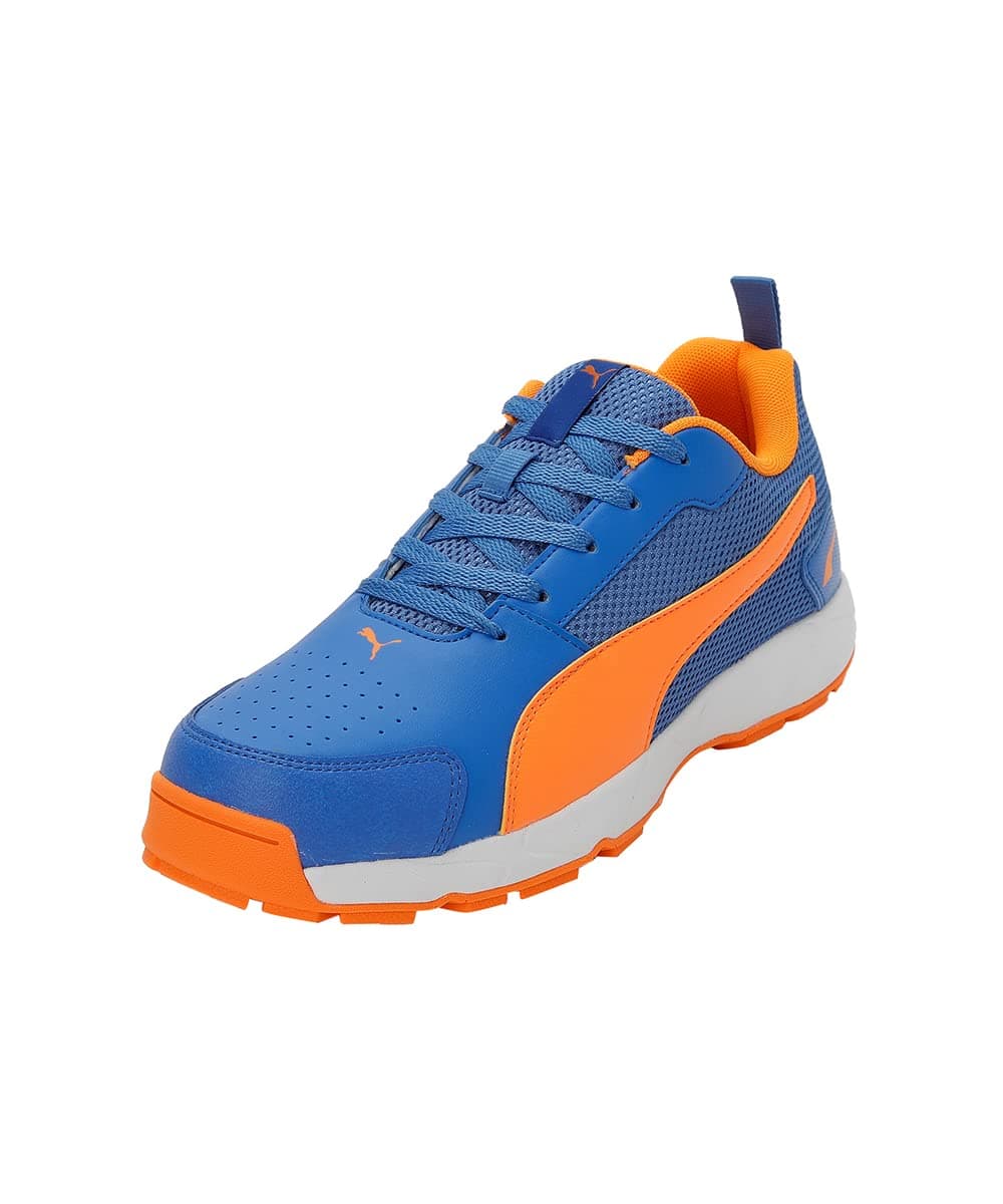 Puma Men Cricket HighRun Cricket Shoe