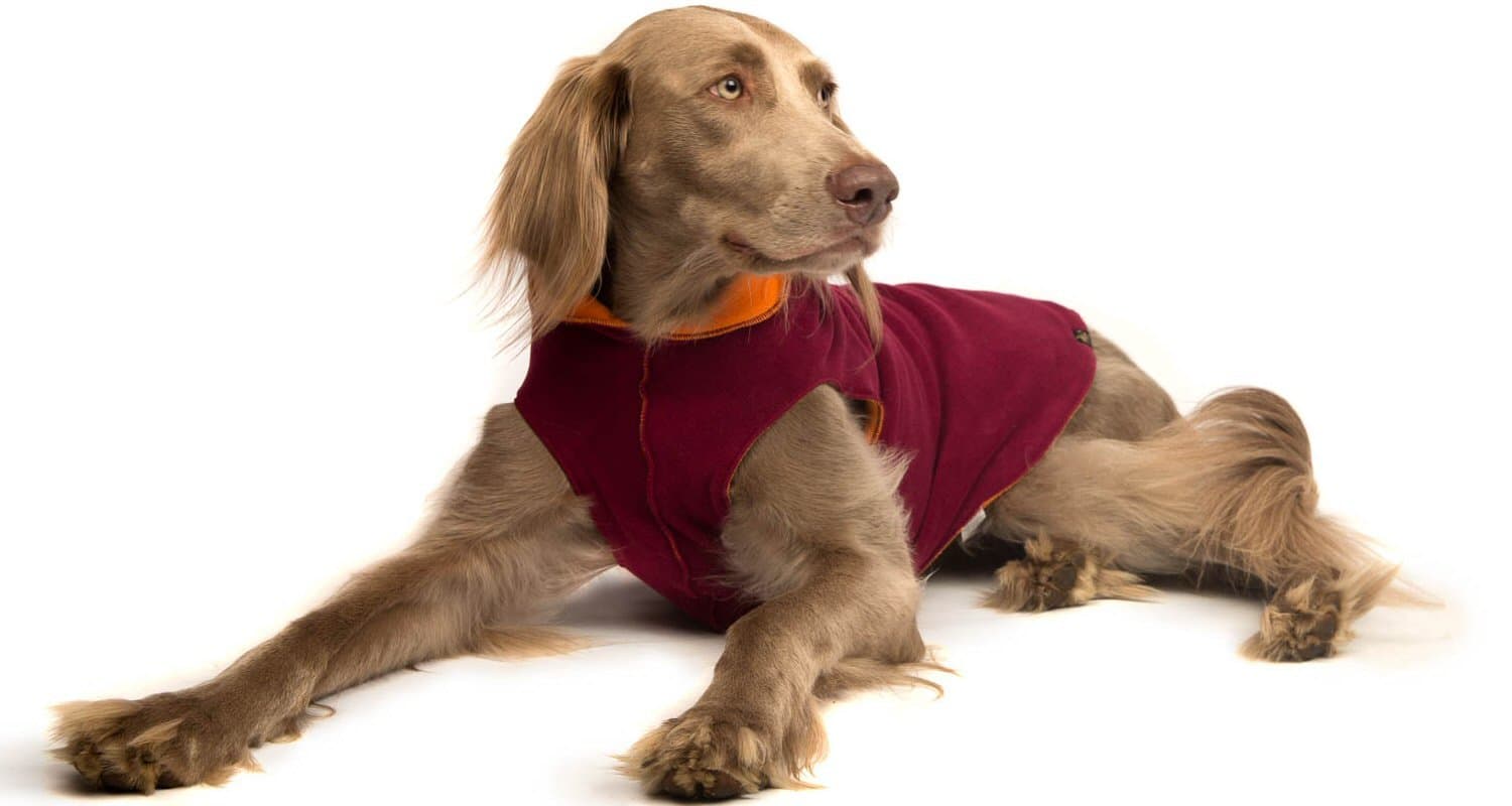Gold Paw Duluth Double Fleece Pullover - Garnet/Pumpkin 20