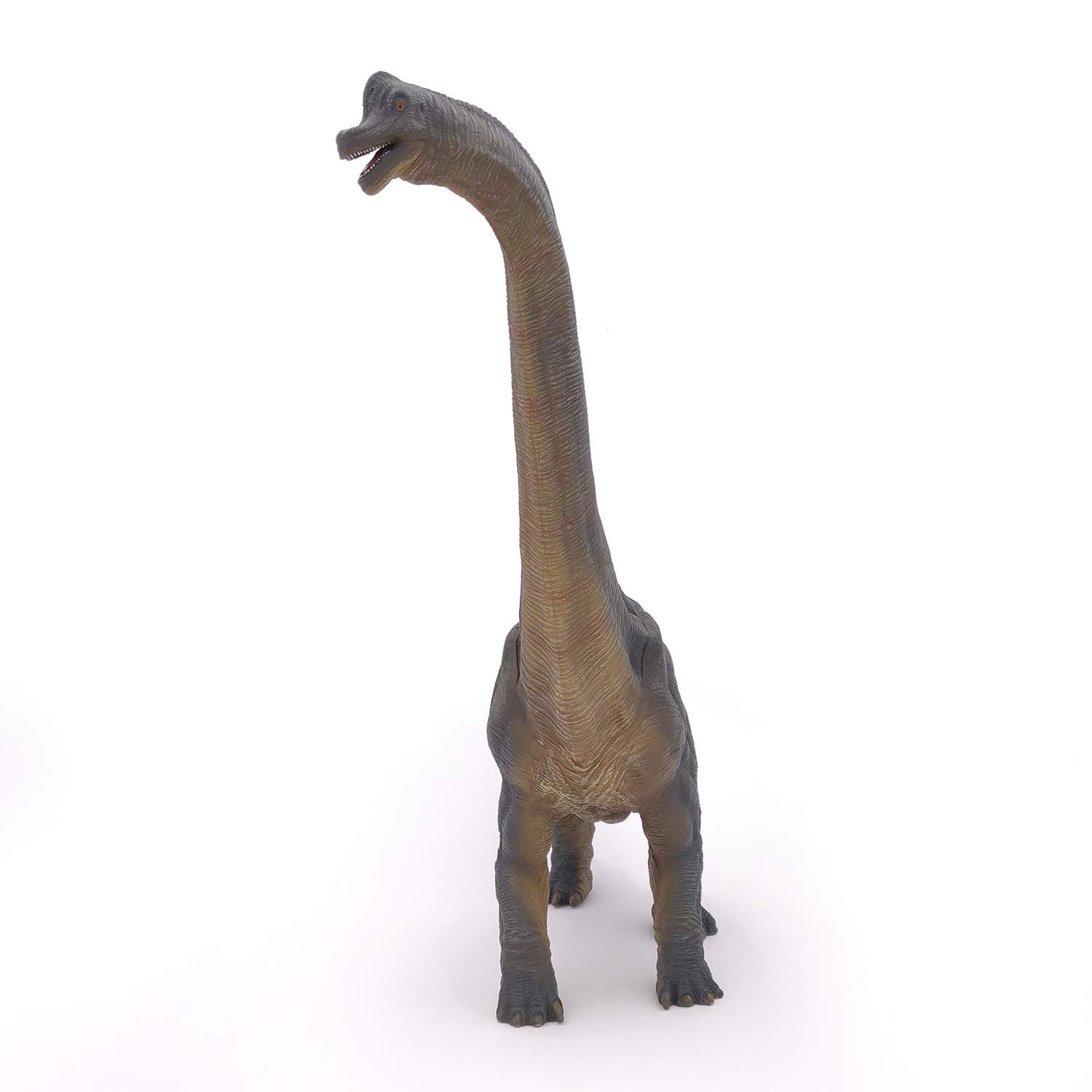 Papo The Dinosaur Figure, Brachiosaurus , 31cm