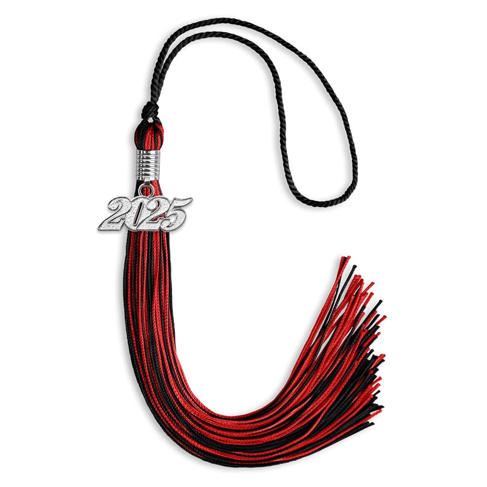 Endea Graduation Mixed Double Color Tassel with Silver Date Drop