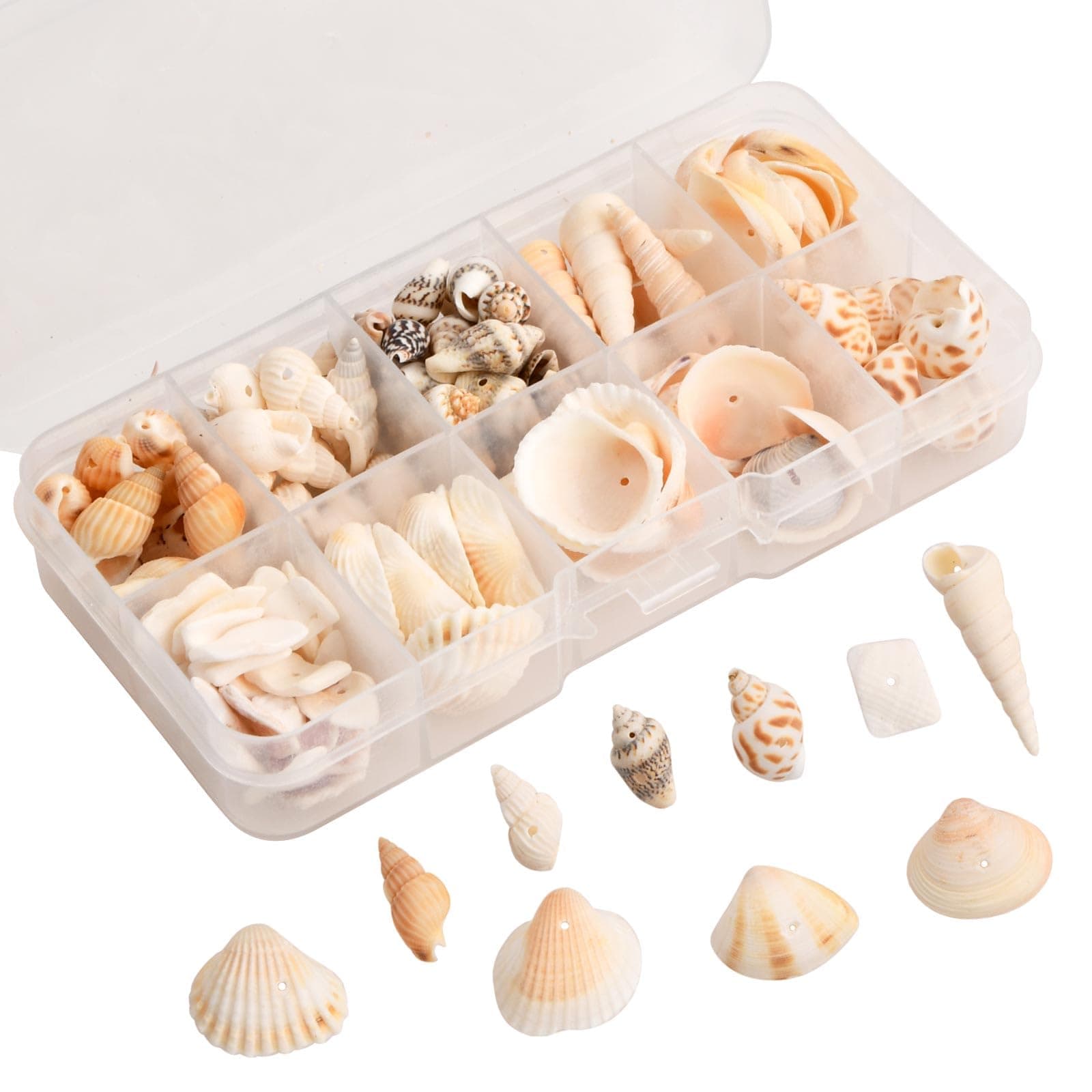 About 90g Natural Conch Shell Beads Ocean Beach Seashells Craft Charms Natural Seashell Charms Ocean Beach Spiral Seashells with Holes for Craft Making