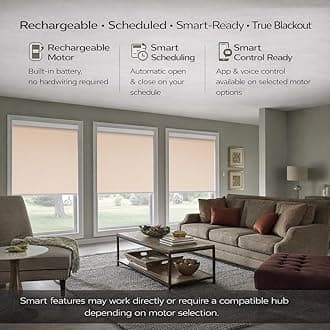 ZSHINE Motorized Blackout Window Blinds Customize Width (23-95 Inches) Remote Control Wireless and Rechargeable Roller Shades Blinds for Windows, Home, Office, Hotel, Club, Restaurant(82010T)