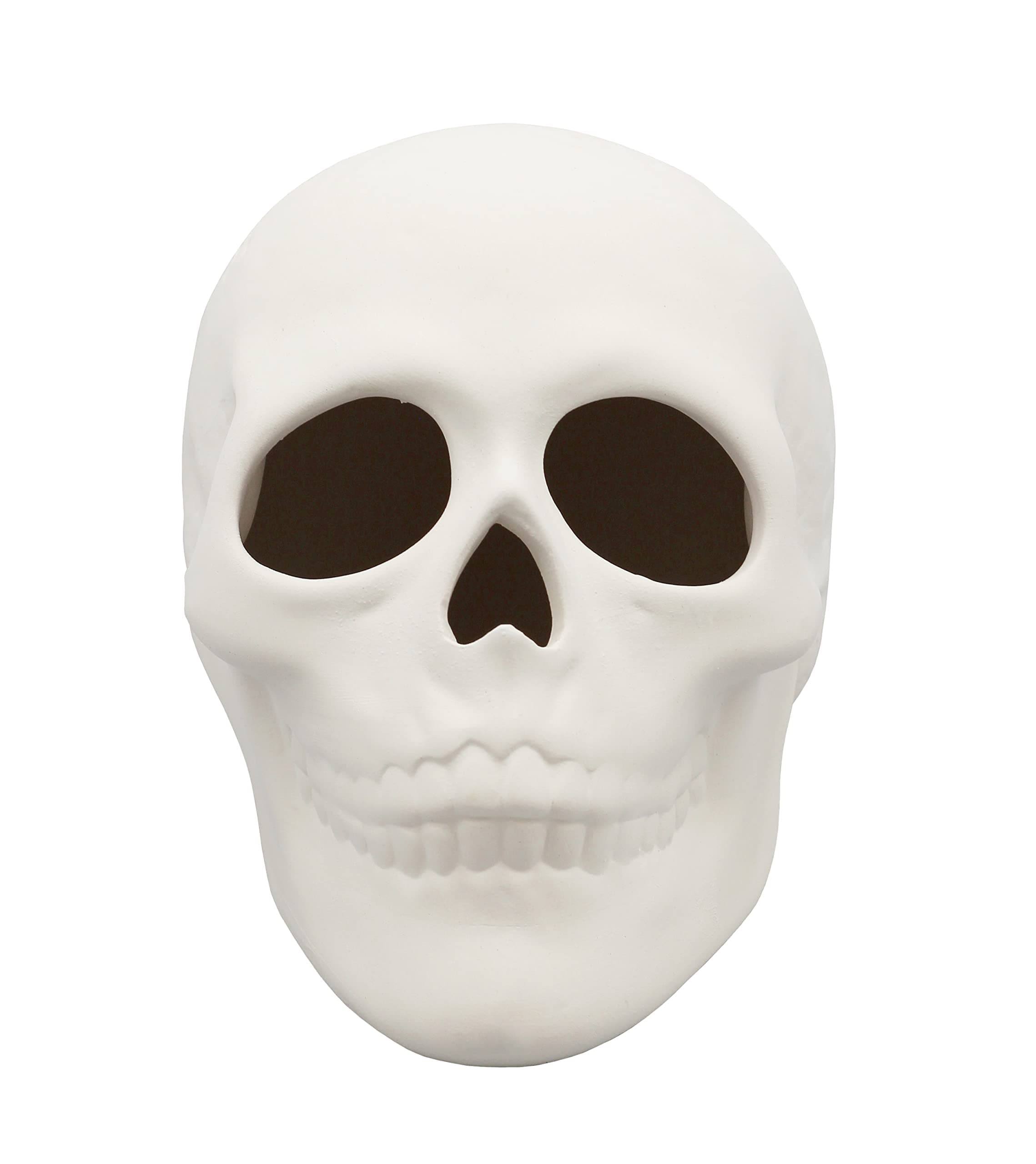 Ready to Paint Ceramic Bisque, 5 Inch Long x 4 Inch Tall Skull, Includes How to Paint Your Own Pottery Booklet