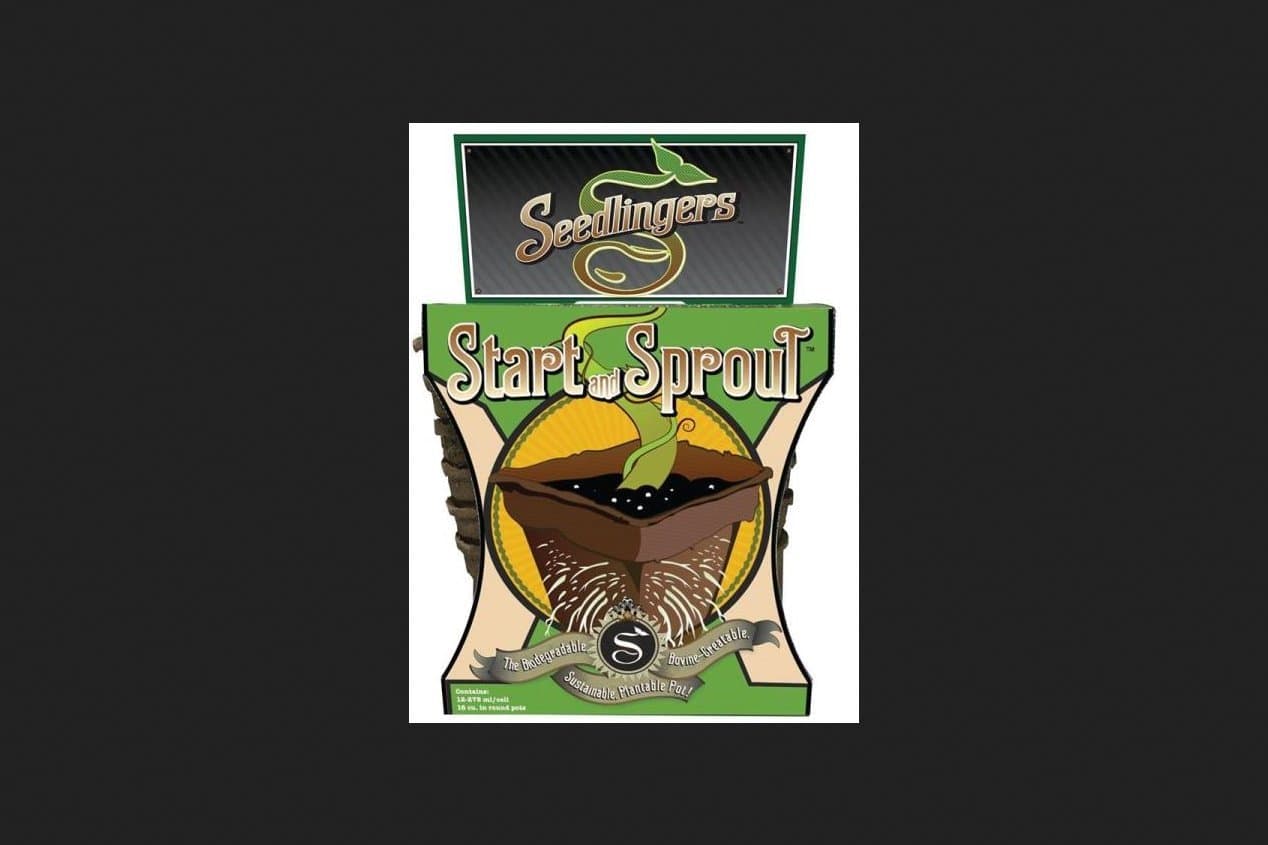 SSP-R-312 Sprout Pot, Brown