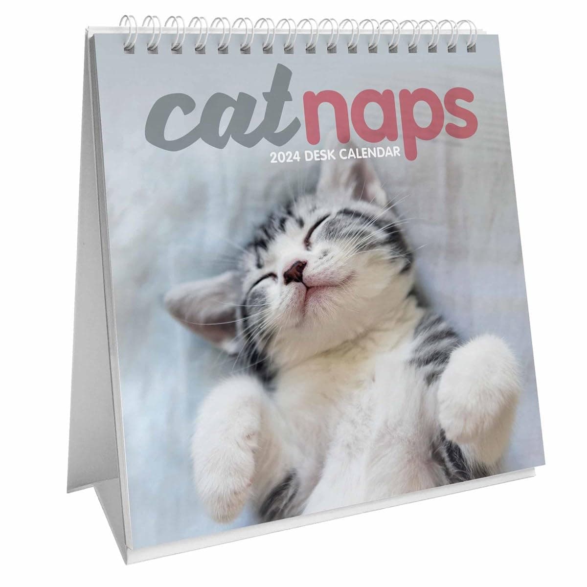 Carousel Calendars Cat Naps Easel Desk 2024