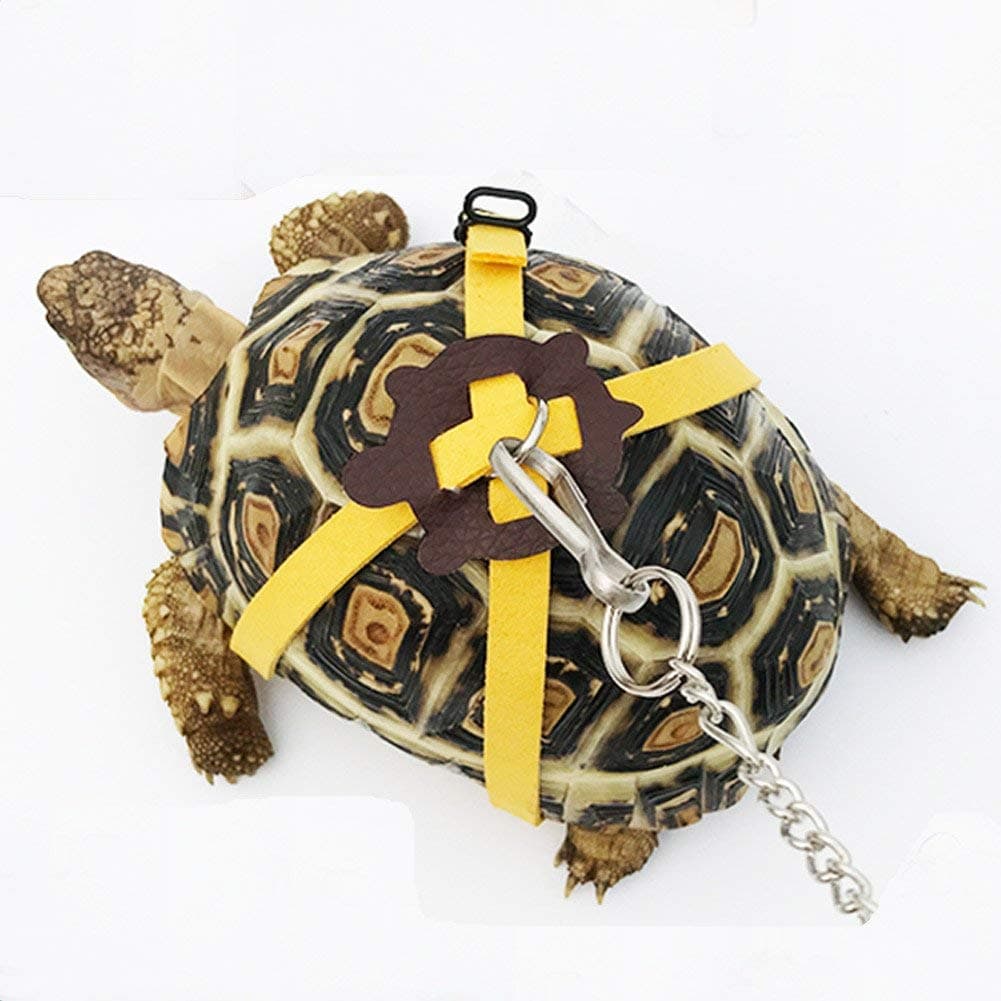 Leather Harness Strap for Tortoise Turtle Leash Pet Walking Lead Control Rope Chest Collar (M)