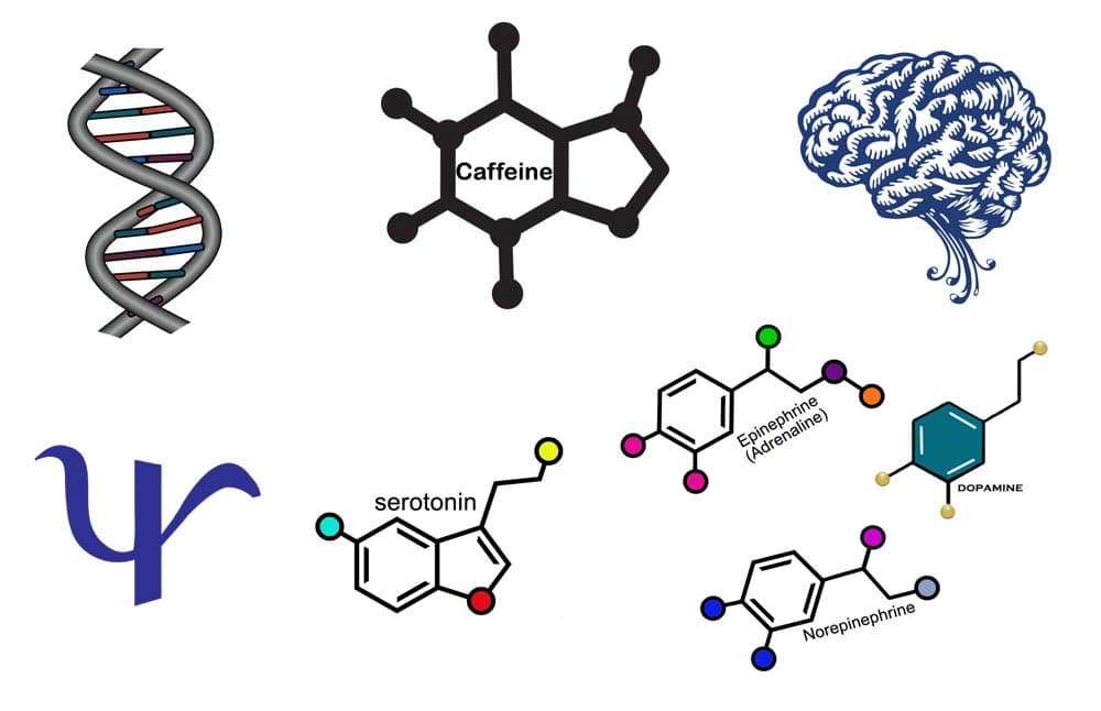 Psychology Temporary Tattoo Variety Pack