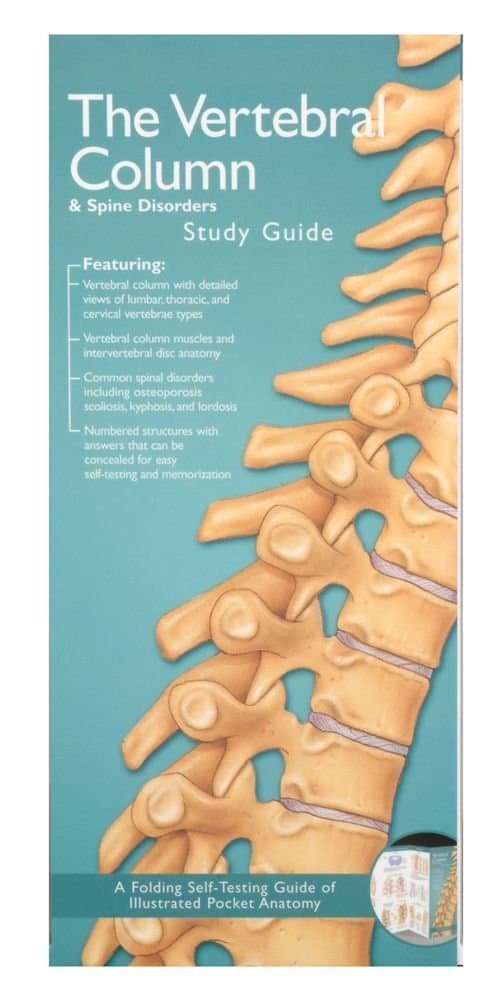 The Vertebral Column & Spine Disorders