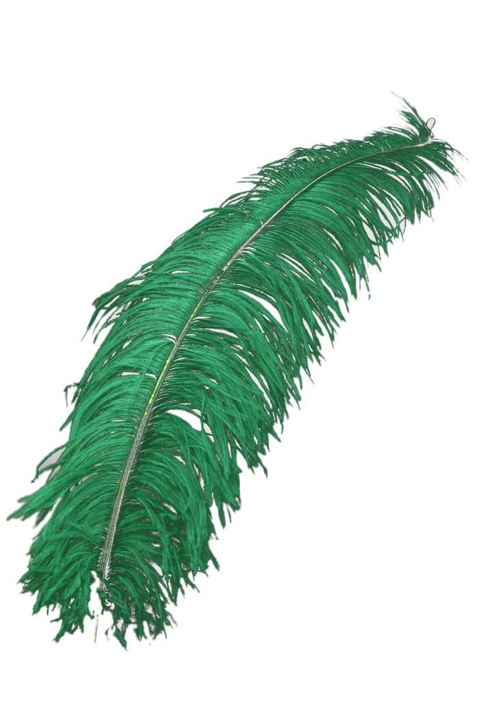 Koerner Ostrich Feather, 50-60Cm, Green