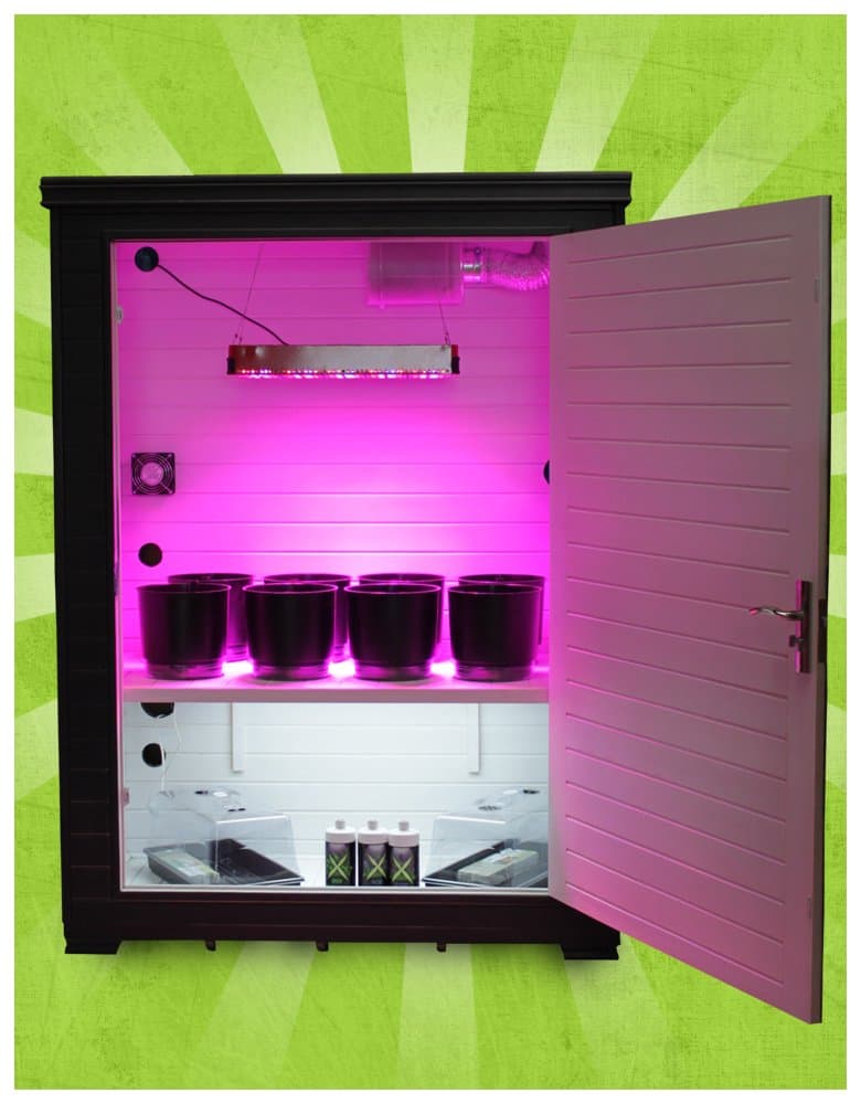 Hydroponic Grow Box - Grow Daddy with LED Grow Light