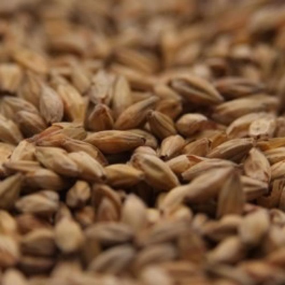 Gambrinus Honey Malt - 1 LB, Uncrushed