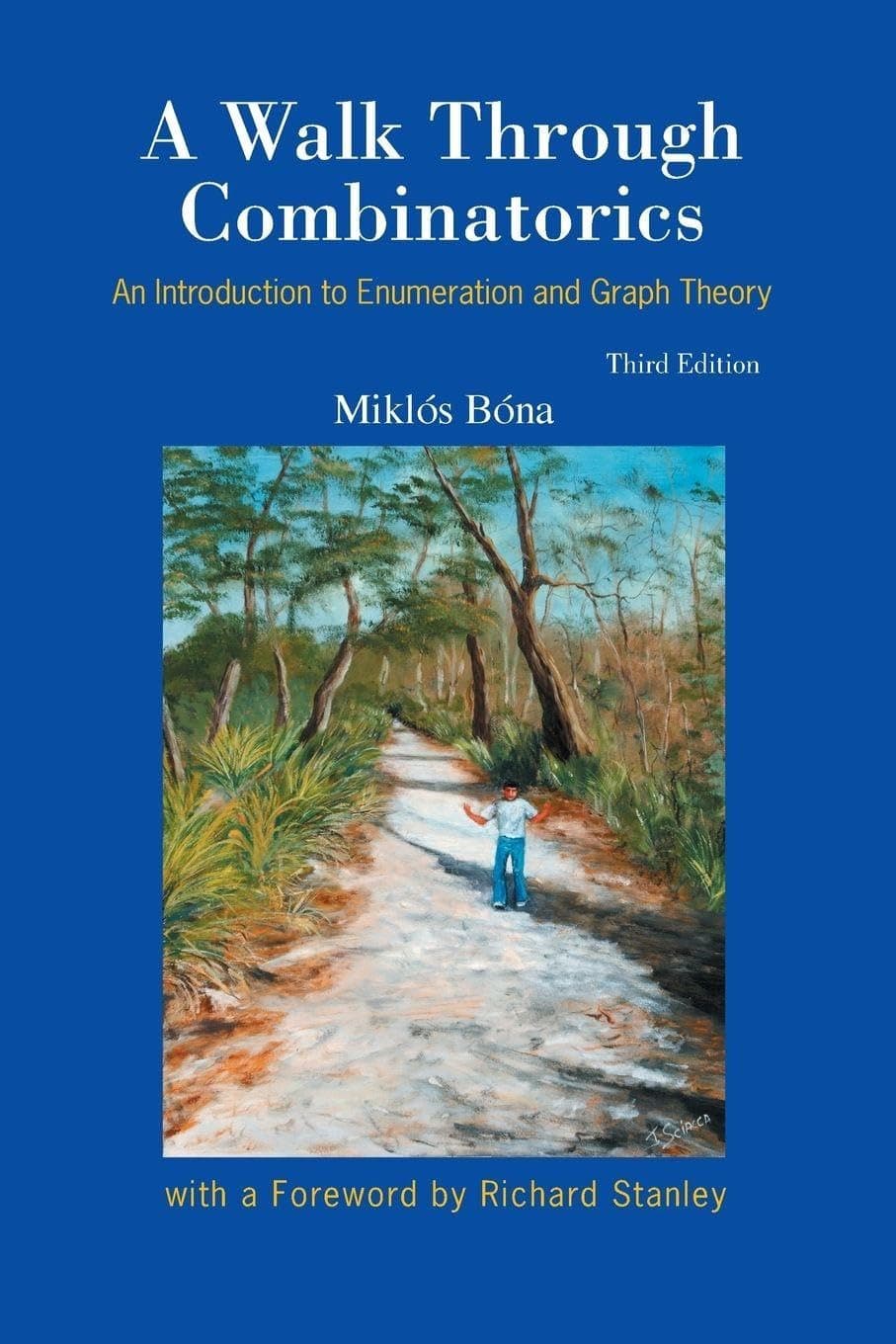 Walk Through Combinatorics, A: An Introduction To Enumeration And Graph Theory (3Rd Edition)