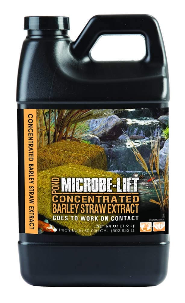 ECOLOGICAL LAB MLCBSE2L ML BARLEY EXTRACT 64OZ